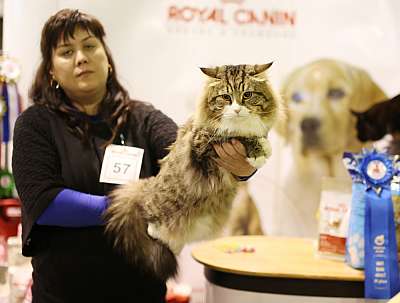 �������� ����� 18-19 ������� 2014 WCF-����� 3-57-169A3266 copy.jpg